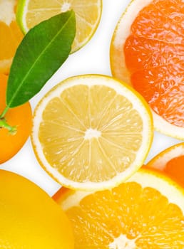 Mix of citrus slice isolated on white