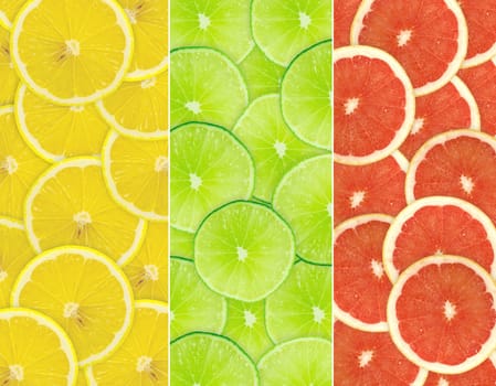 Abstract background of citrus slices. Closeup. Studio photography.