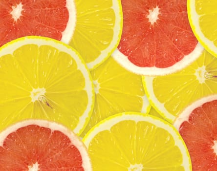 Abstract background of citrus slices. Closeup. Studio photography