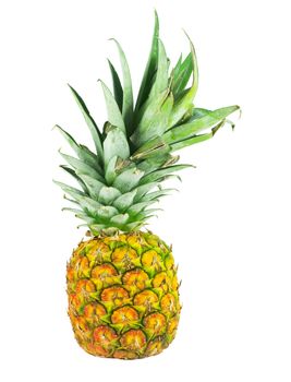 a single pineapple standing against a white background