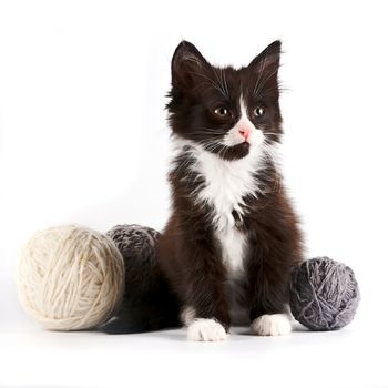 Black-and-white kitten with a woolen balls on a white background
