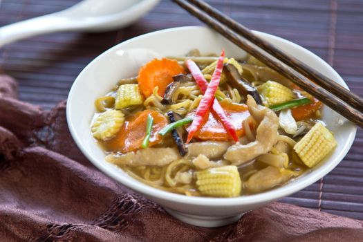 Egg noodle with Chicken,mushroom,baby corn,carrot ,bamboo shoot and spring onion in gravy sauce