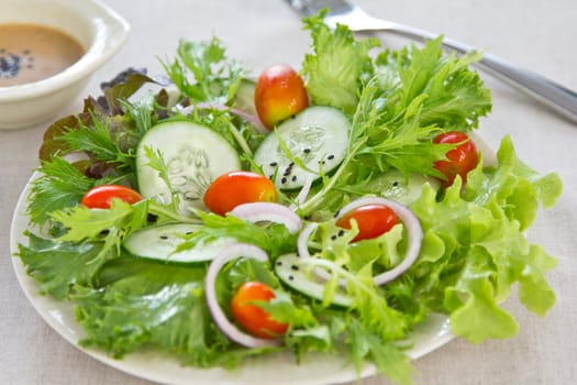 Fresh lettuce,cucumber,cherry tomato,onion salad with japanese sesame dressing