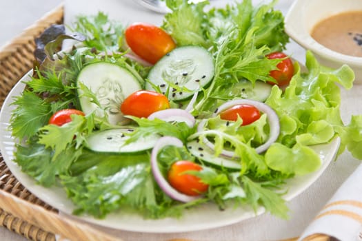 Fresh lettuce,cucumber,cherry tomato,onion salad with japanese sesame dressing