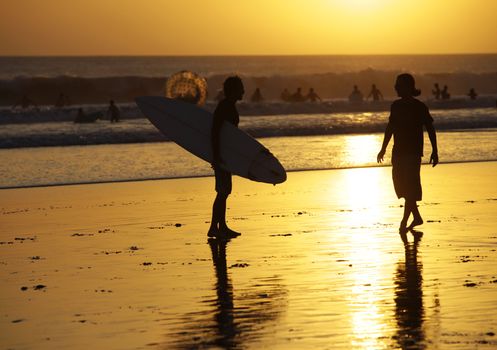 Silhouette of surfers in golden sunset light. Bali