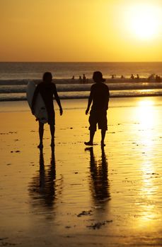 Silhouette of surfers in golden sunset light. Bali
