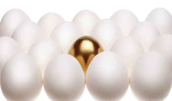 one gold egg lays among common white eggs