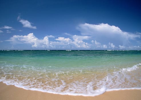 beach and sea