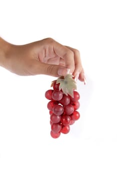Pink grape cluster in hand isolated on white