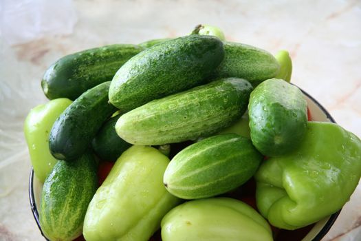 Fresh salted cucumbers with green pepper