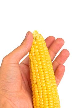 Hand holding a corn