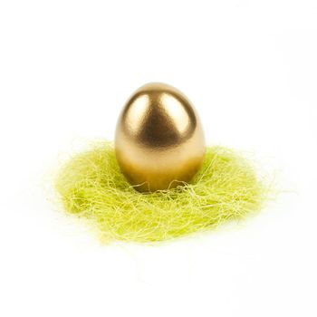 golden egg in nest isolated on white