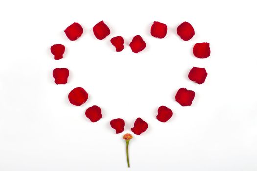 beautiful heart of red rose petals isolated on white