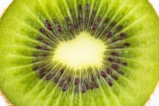 Close up of kiwi slice isolated over white background