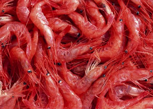 Shrimps. The fish market.