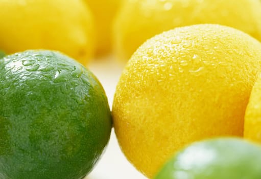 Orange, limes and lemon citrus fruits