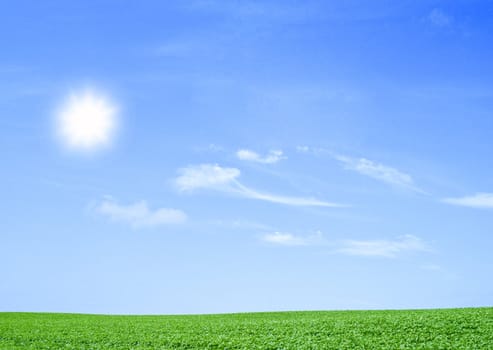 green field and trees