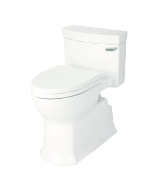 toilet bowl, photo on the white background