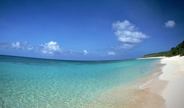 beach and tropical sea