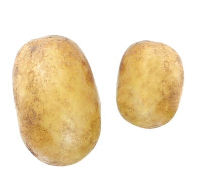 potato isolated on white background