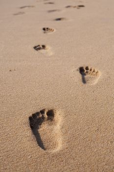 Footprints on the beach sand