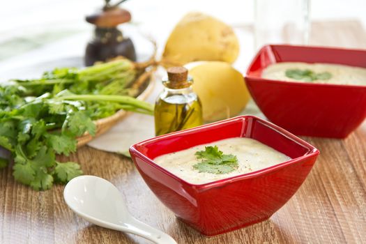 Potato soup with coriander by some potatoes and bunch of coriander