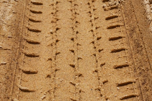 Tire Tracks in the Sand