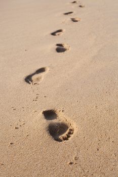 Footprints on the beach sand