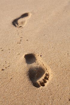 Footprints on the beach sand