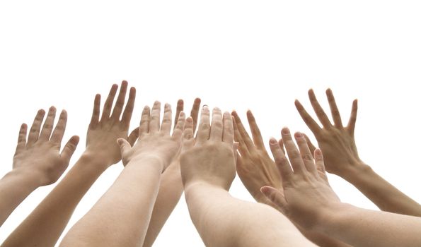 many female hands are lifted up on white background