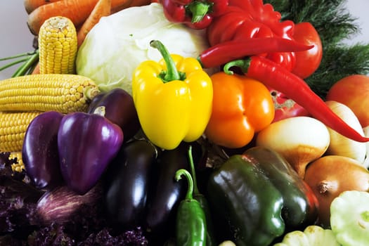 Crop of various vegetables as an agricultural background