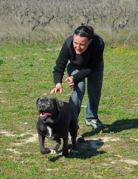 young woman and her dog italian mastiff