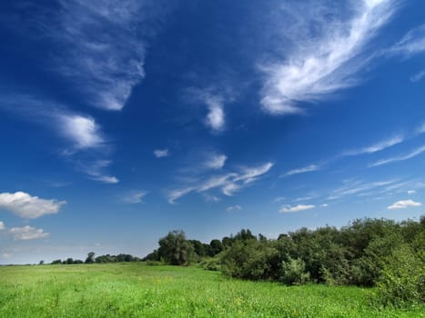 Deep blue summer sky and green meadow with trees