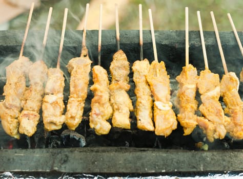 Chicken shish kebab on the barbeque