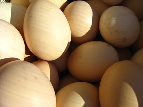 the image of a lot of eggs of the hen