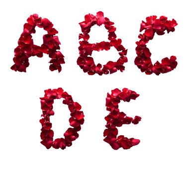 Alphabet letter A - E made from red petals rose isolated on a white background