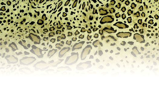 safari style fabric