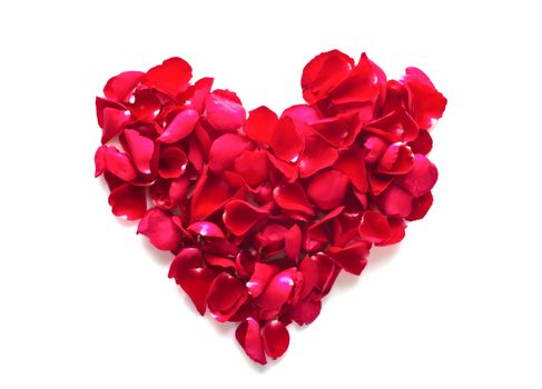 beautiful heart of red rose petals isolated on white