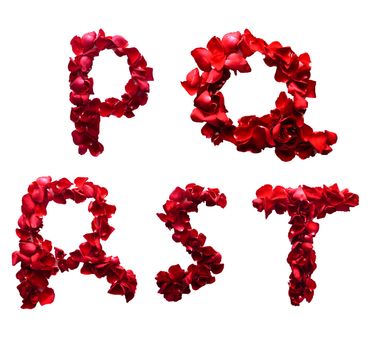 Alphabet letter P - T made from red petals rose isolated on a white background