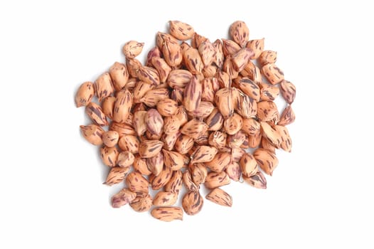 groundnut,