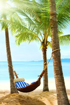 Tropical beach with palm tree and sand