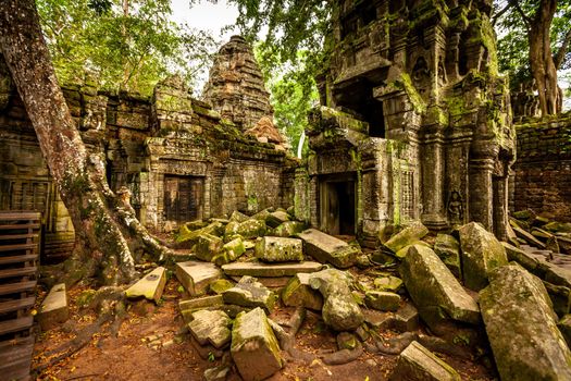 Trees growing out the ruin of Ta Prohm, Angkor Wat.
