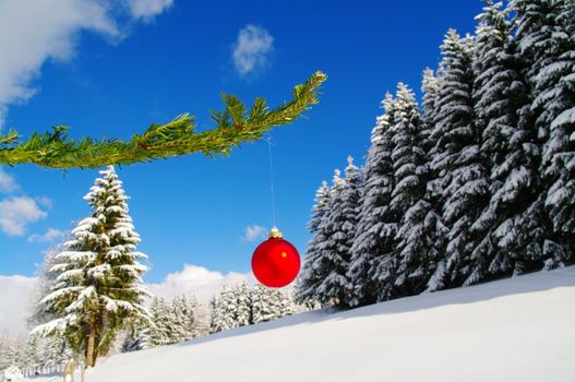a red bauble in a winter landscape