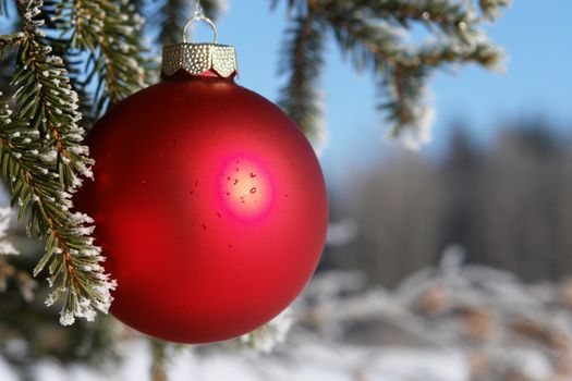 a red bauble in snowy winter landscape