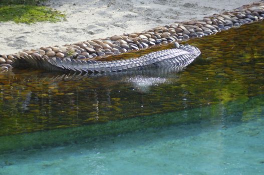 A species of crocodile that lives in lakes and rivers in various parts of the world