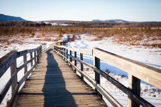 The bridge in the field and a long path