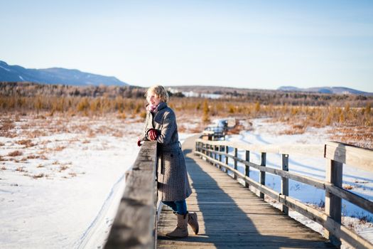 Girl on the bridge in the field (winter)