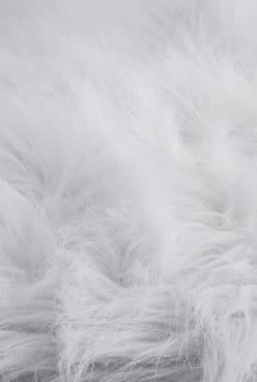 White Fur texture and background close-up