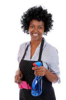 Lovely smiling African lady with cleaning spray and rag