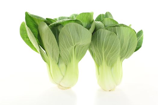 fresh Asian white-green pak choi on a light background